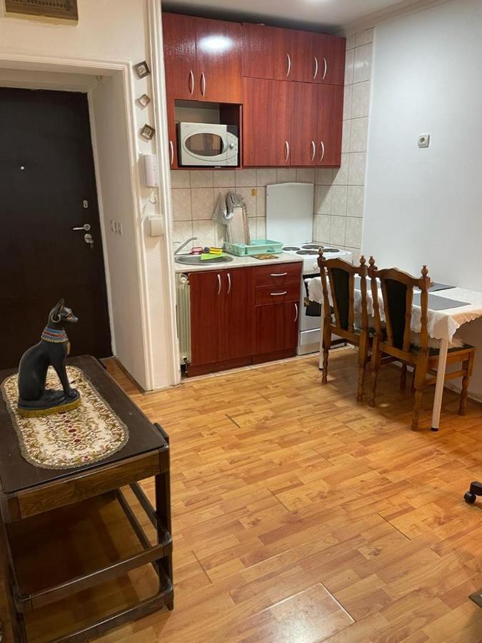 Apartment Mixa Belgrade Exterior photo